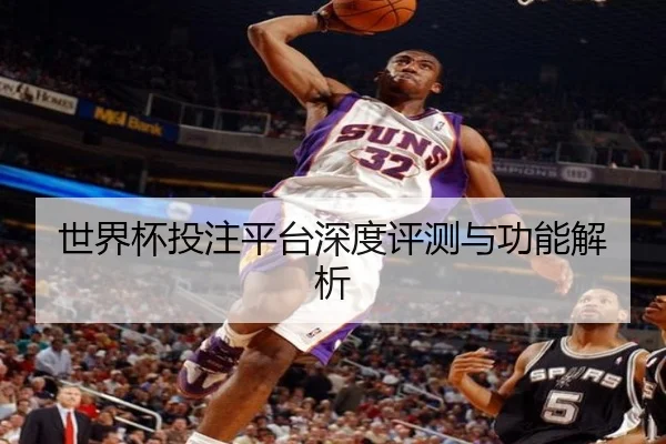 世界杯投注平台深度评测与功能解析