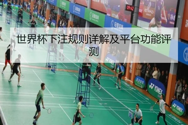 世界杯下注规则详解及平台功能评测