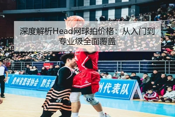 深度解析Head网球拍价格：从入门到专业级全面覆盖